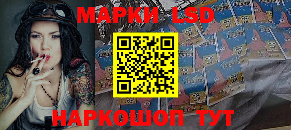 Наркотические марки 1,8мг  Вход с VPN  Гатчина 