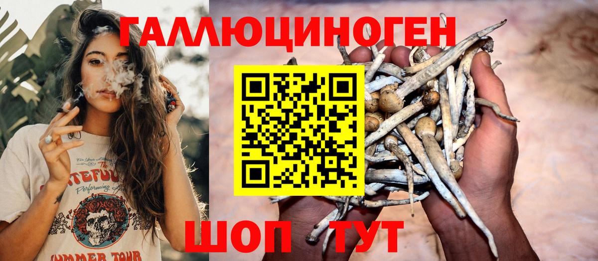 Галлюциногенные грибы Magic Shrooms Гатчина