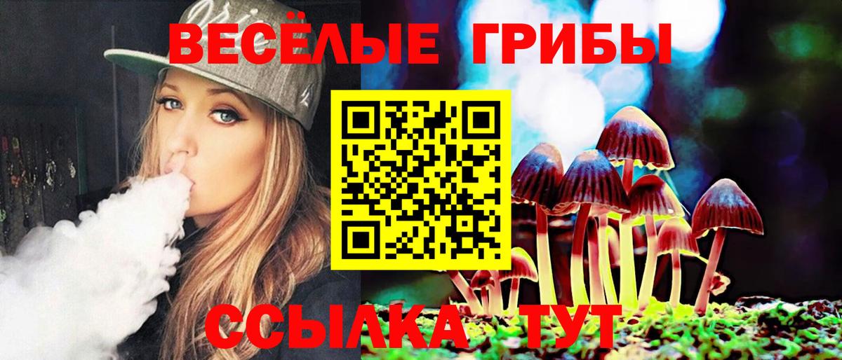 Гатчина  Галлюциногенные грибы Psilocybine cubensis  Вход с VPN  Псилоцибиновые грибы прущие грибы 
